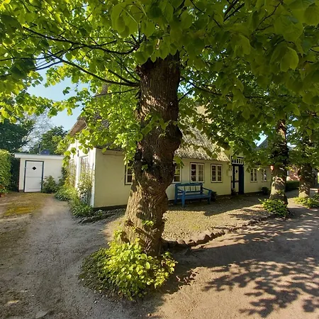 Holiday home Haus Lotte *